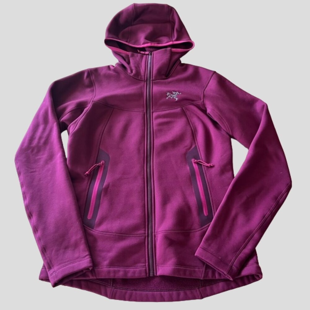 Arc'teryx Arenite Hooded Fleece Softshell Jacket - Picture 4 of 15